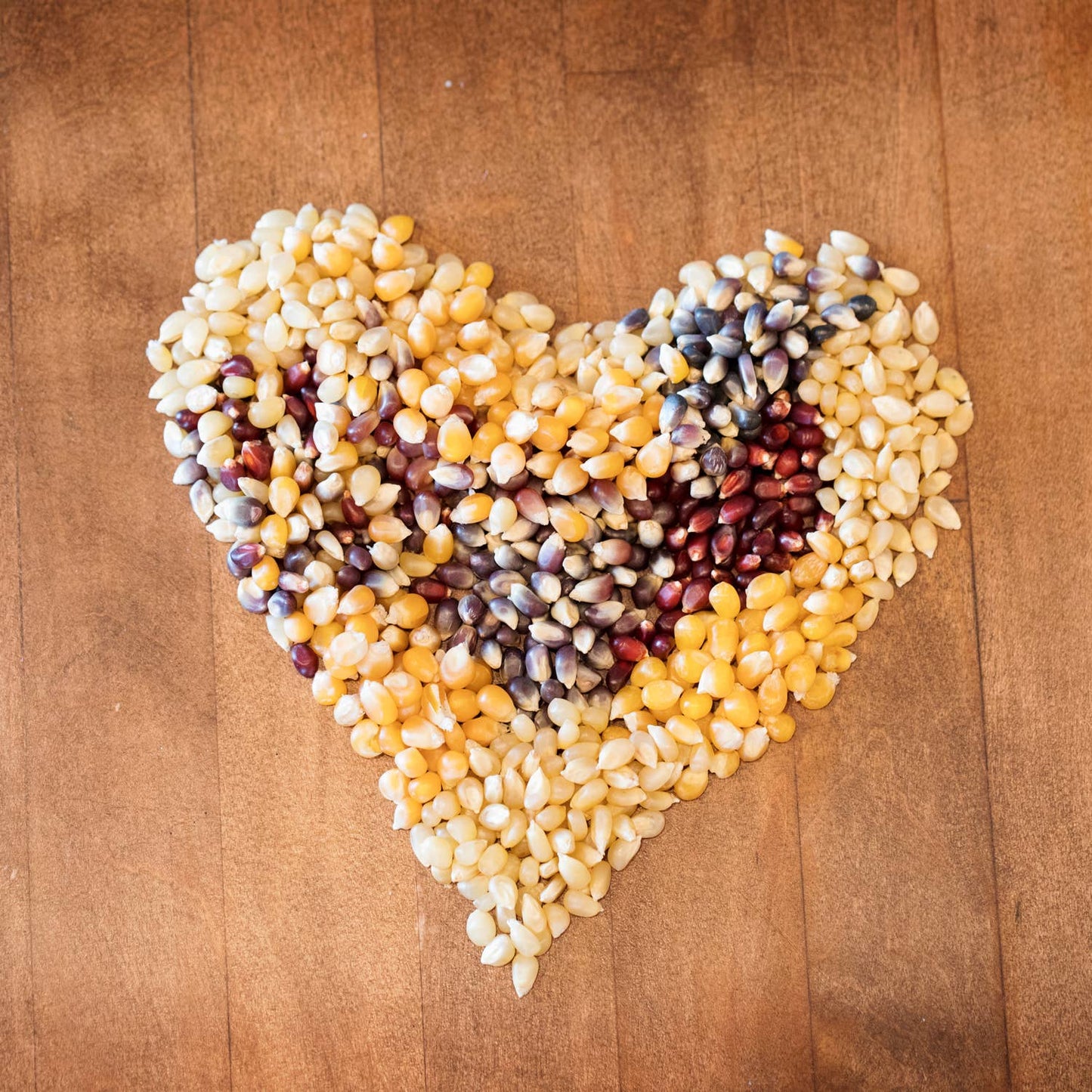 Amish Country Popcorn Variety Pack