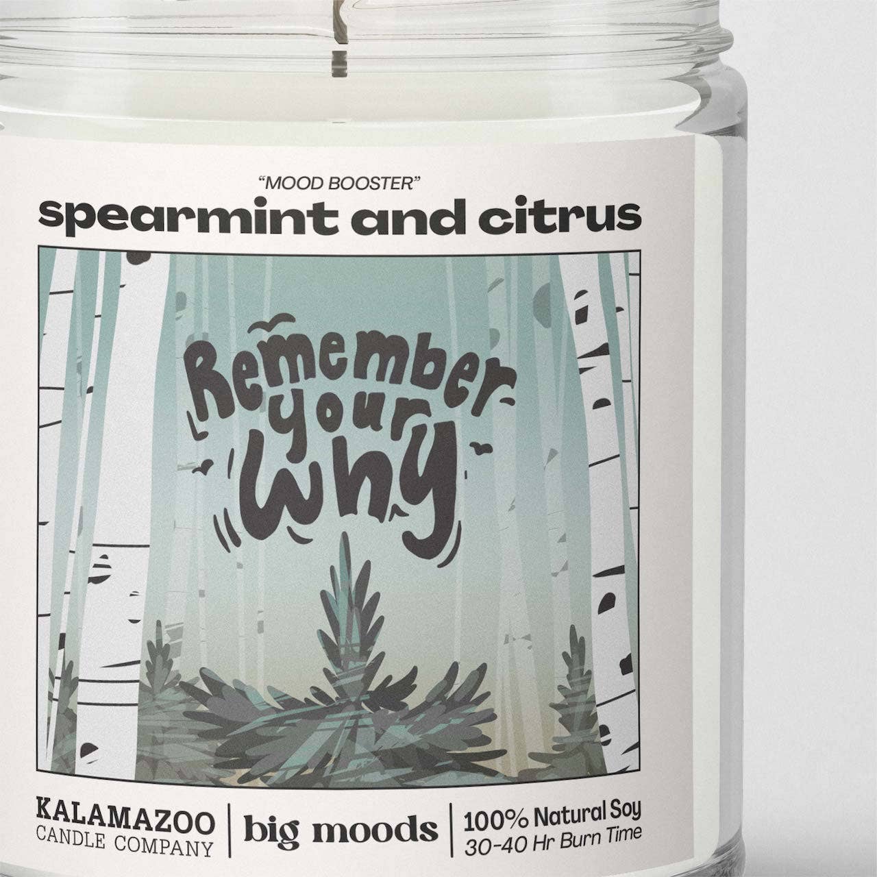 "Remember Your Why" Spearmint & Citrus -  Luxury Soy Candle